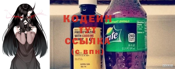 амф Новозыбков